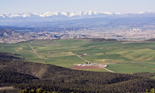 Montrose, CO